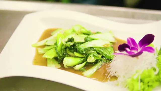 Pak Choi in Sauce, angerichtet mit Glasnudeln und Orchidee